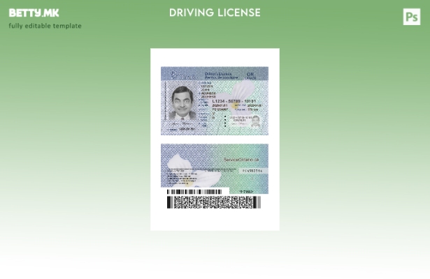 Модерен стил Canada Ontario DL ( – сегашна) верзија на шаблон